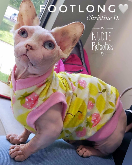 Sphynx cat and kitten minky shirt.  Sphynx cat clothes. 
