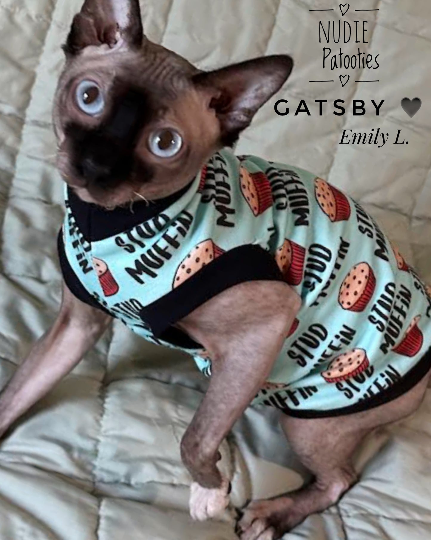 Sphynx cat and kitten shirt.  Sphynx cat clothes.