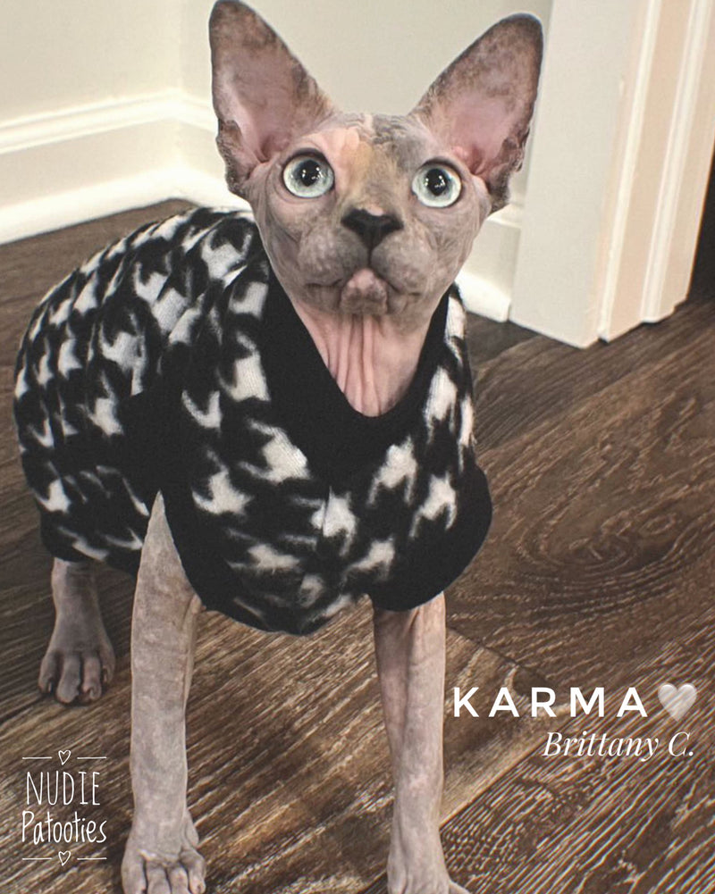 Sphynx cat and kitten shirt sweater. Sphynx cat clothes