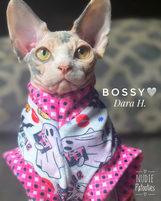 Best Sphynx cat clothing. Hairless cat apparel. Sphynx cat sweaters. Cat clothes for hairless cats. Warm sphynx cat outfits. Sphynx cat hoodies. Cozy cat wear. Cat shirts for Sphynx.  Pet clothing for Sphynx cats. Winter clothes for sphynx cats. Sphynx cat fashion.  Hairless cat t-shirts. Soft cat jumpers. Seasonal cat clothing.