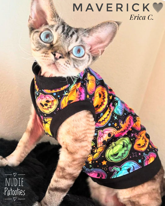 Sphynx cat and kitten neon pumpkins Halloween shirt.  Sphynx cat clothes.