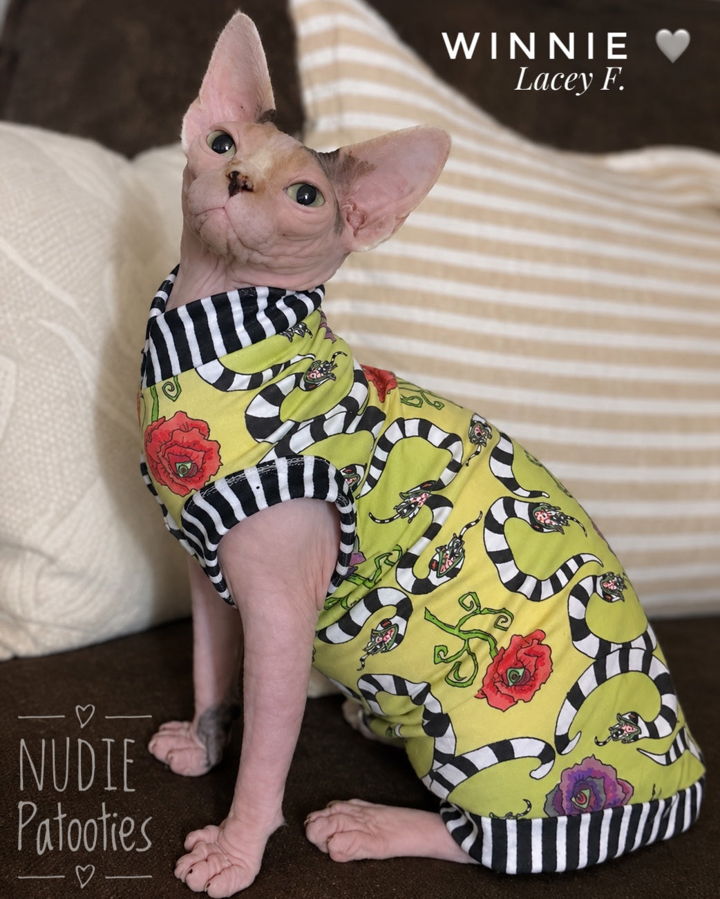 Sphynx cat shirt with playful black and white striped sandworms and eyeball flowers on an olive green cotton blend fabric with soft plush striped trim.  Best sphynx cat clothes