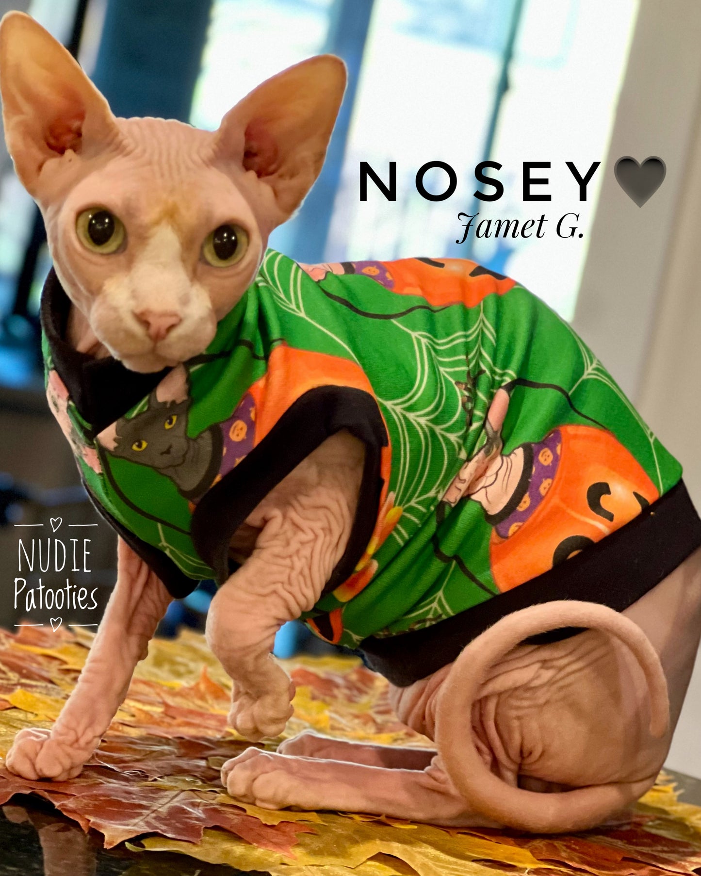 Organic 100% Cotton sphynx cat and kitten Halloween shirt.  Sphynx cat clothes.