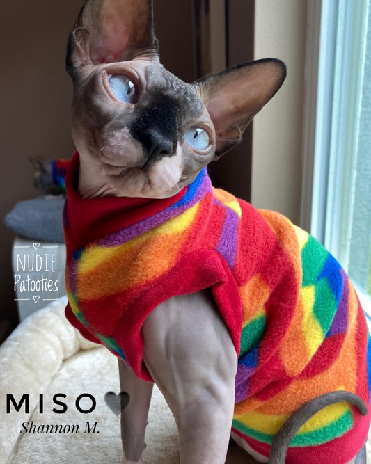 Sphynx cat and kitten fleece shirt.  Sphynx cat clothes.  Pride flags. 
