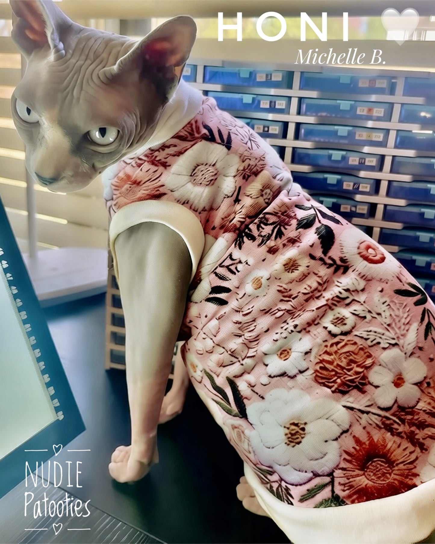 Sphynx cat and kitten shirt, clothes and swag