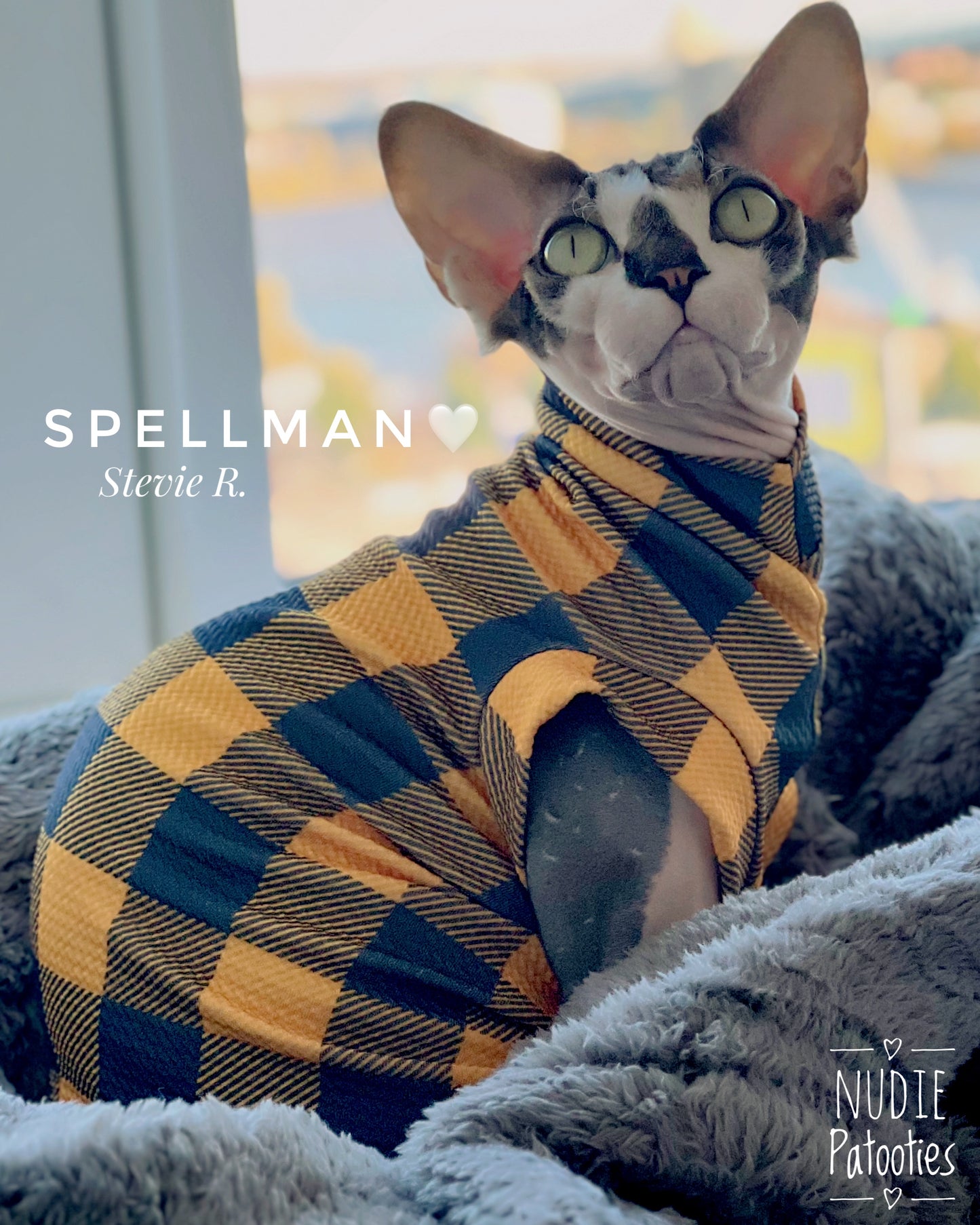 Buffalo plaid sphynx cat shirt.  Best sphynx cat and kittens clothes and swag