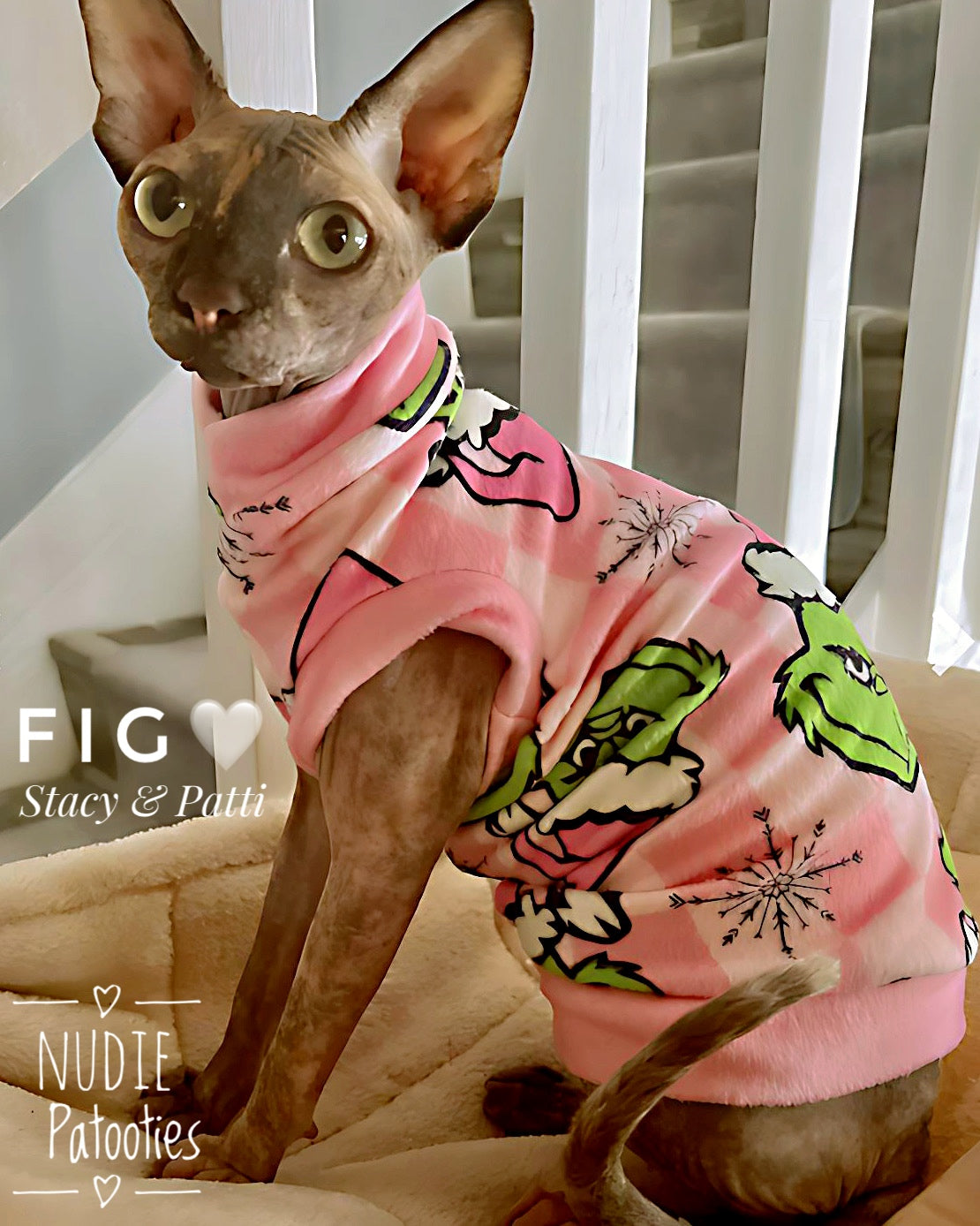 Sphynx cat and kitten fleece sweater shirt.  Sphynx cat clothes. 