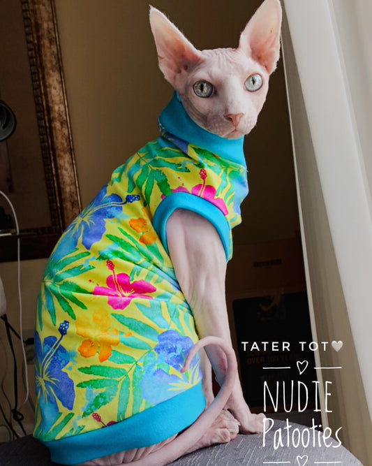 Sphynx cat and kitten shirt. Best sphynx cat and kitten clothes, shirts and swag.  