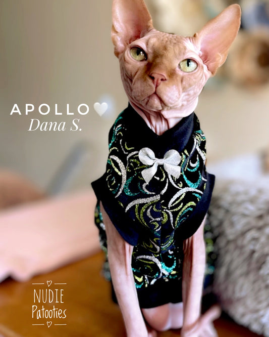 Sphynx cat holiday shirt.  Best Sphynx cat clothes