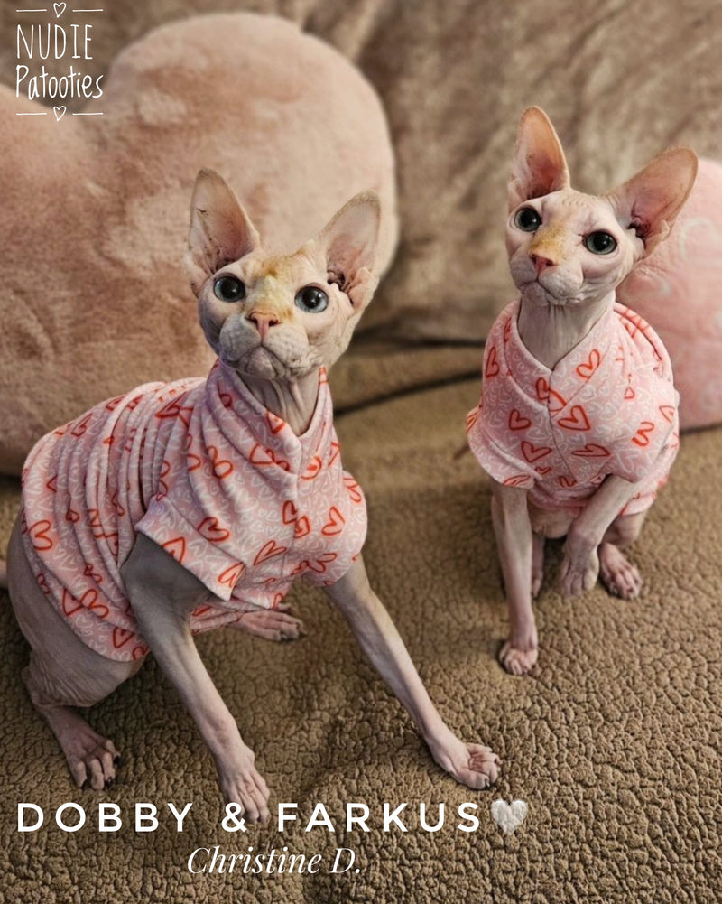 Sphynx cat and kitten shirt.  Sphynx cat clothes.
