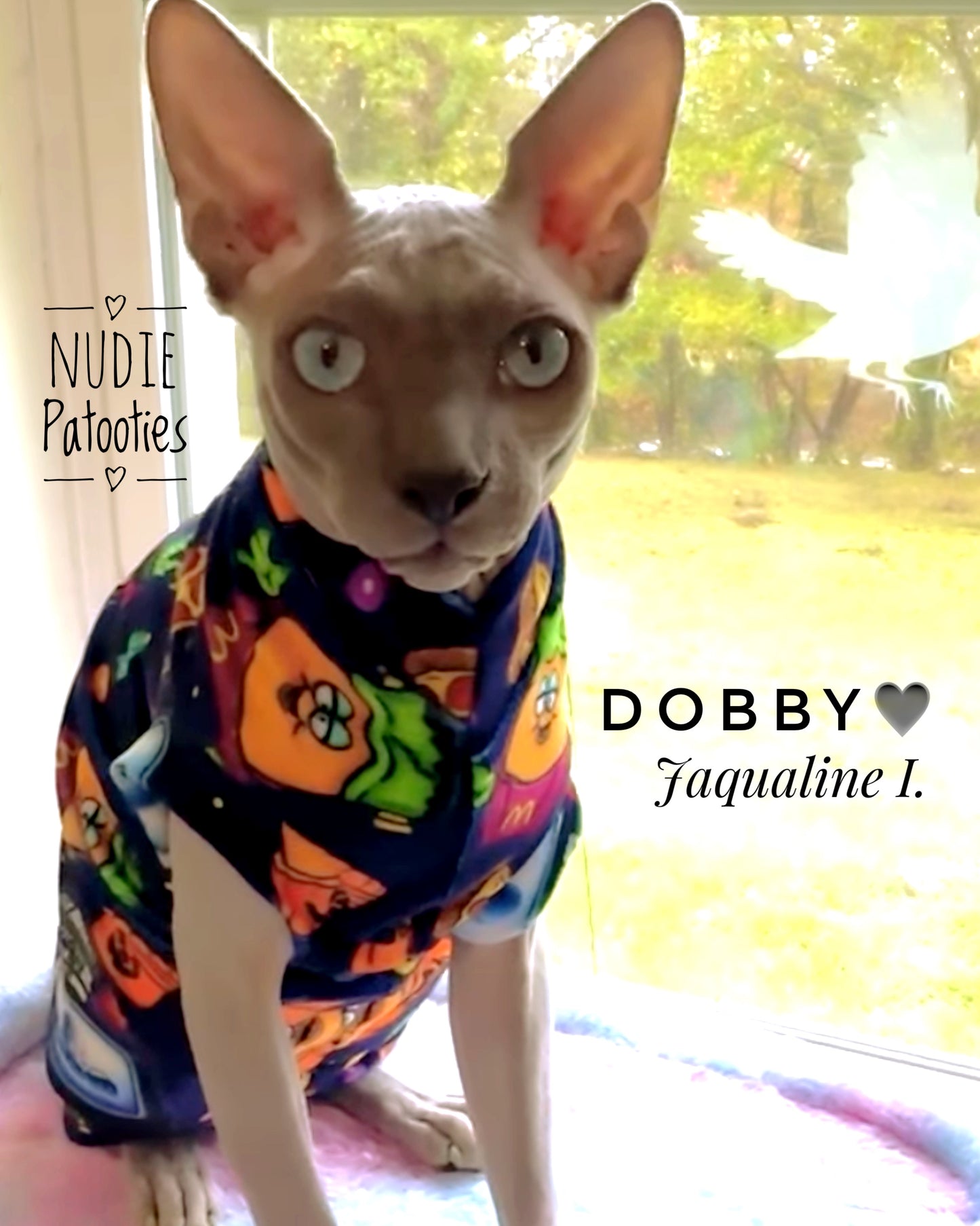 Best sphynx cat clothes, shirts, and sphynx swag