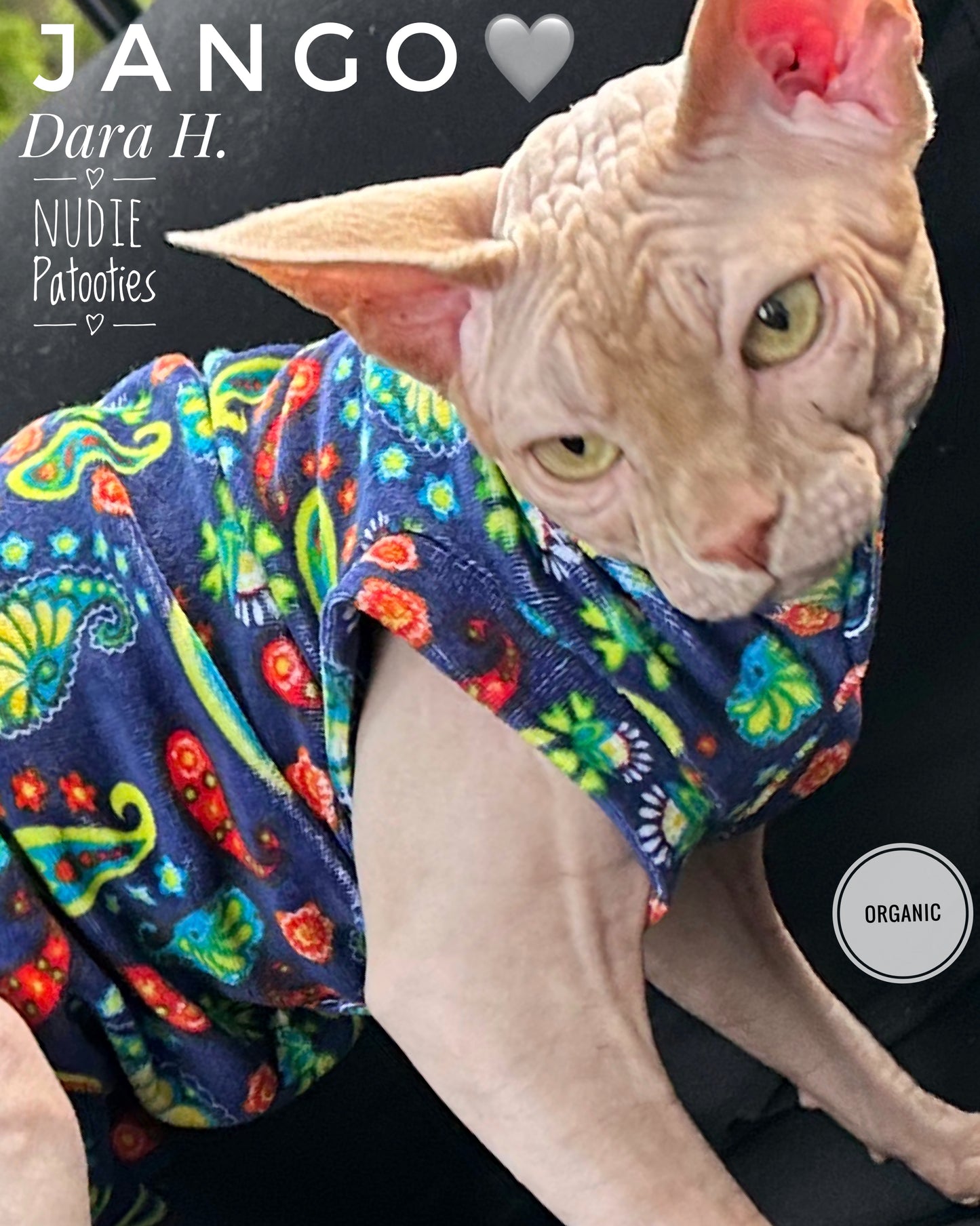 organic sphynx cat shirt.  sphynx cat clothes