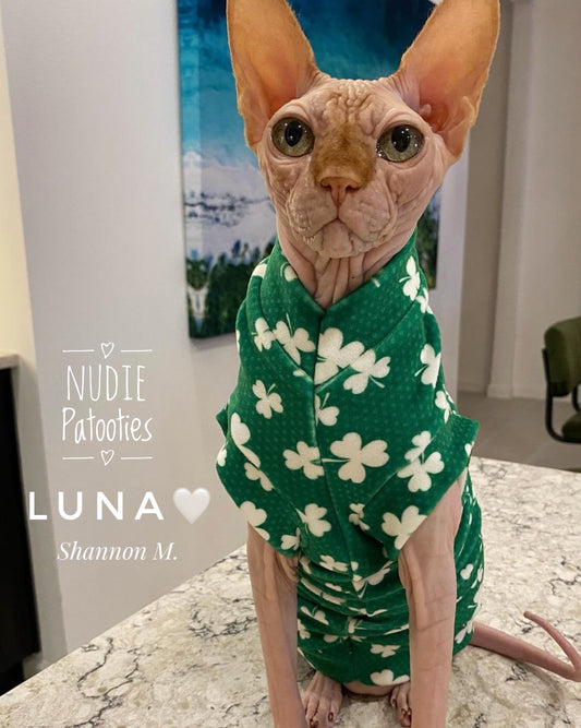 Sphynx cat and kitten fleece shirt.  sphynx cat clothes