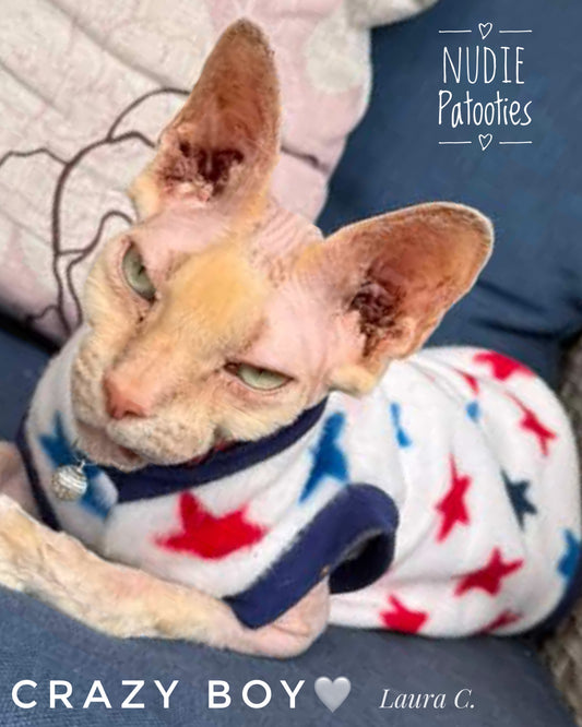 Patriotic sphynx cat and kitten warm fleece shirt. Sphynx cat clothes 