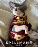 sohynx cat and kitten shirt.  sphynx cat clothes