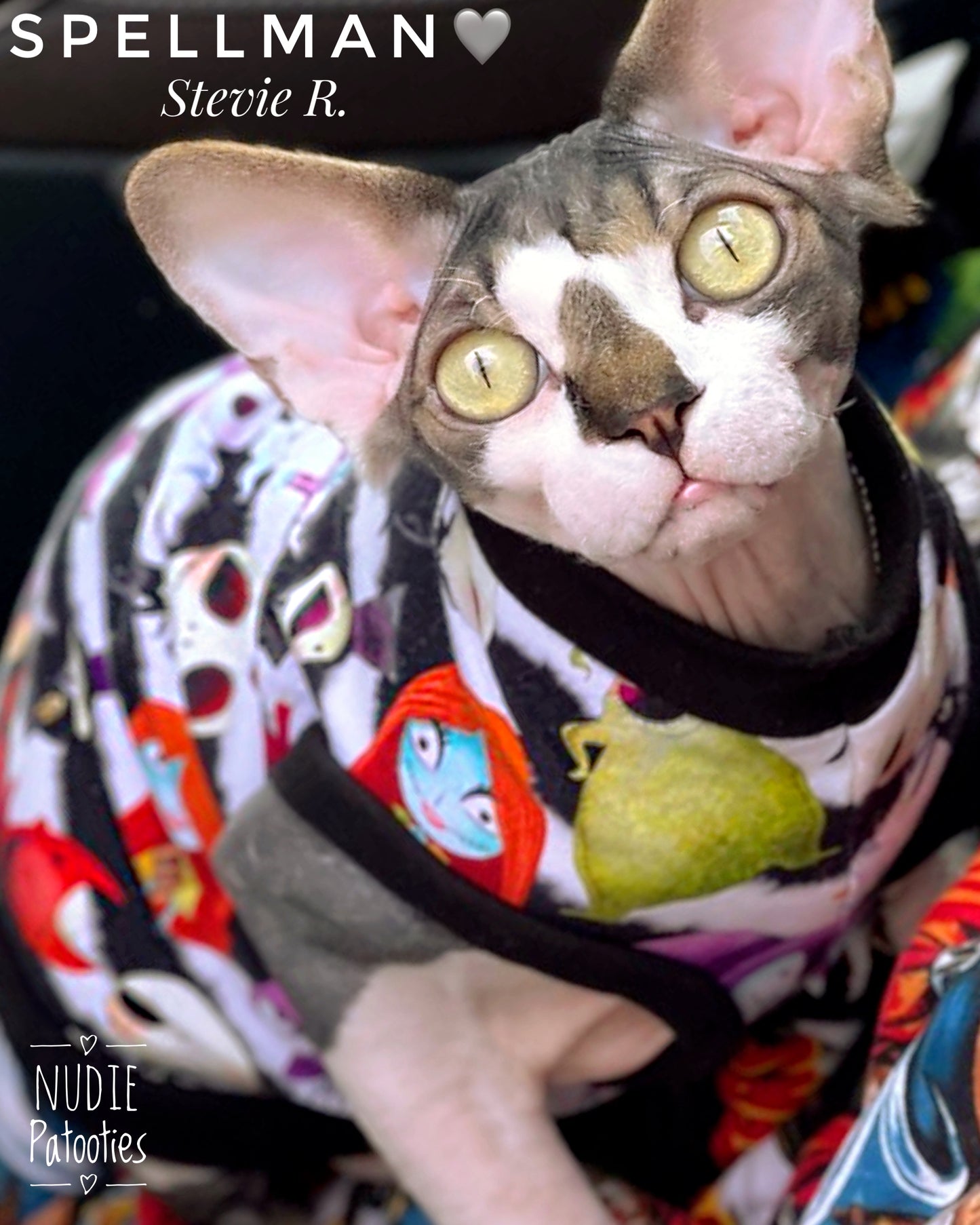 Sphynx cat and kitten stripped Halloween shirt.  Sphynx cat clothes.