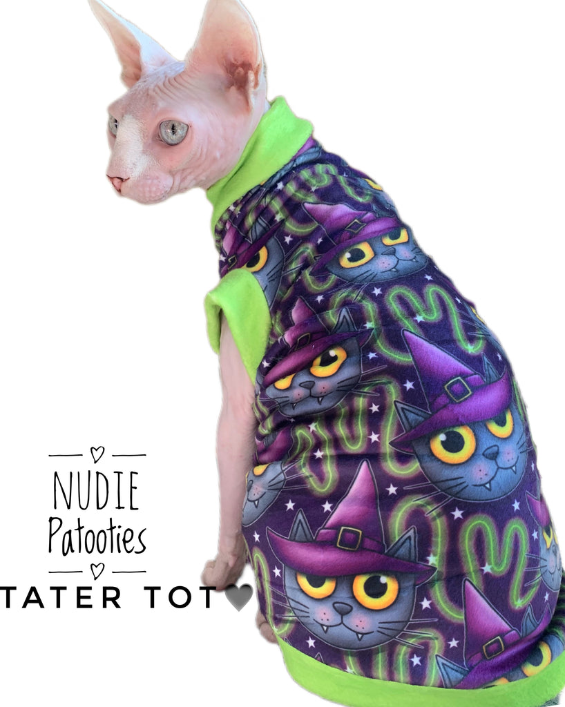 sphynx cat and kitten shirts.  sphynx cat clothes 