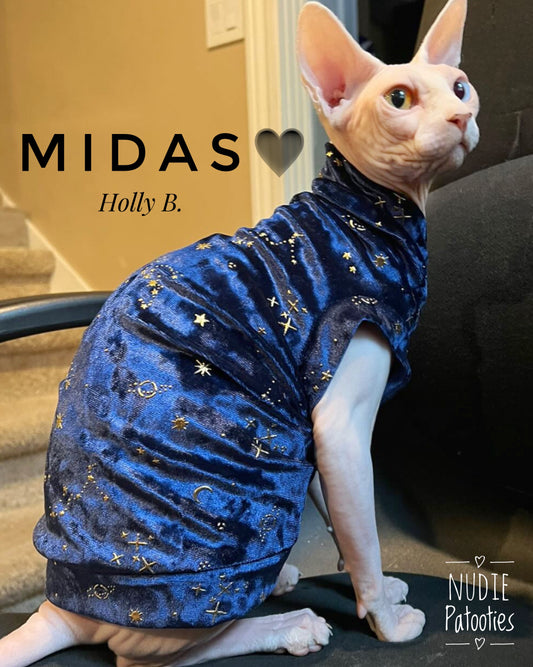 sphynx cat and kitten shirt.  sphynx cat clothes
