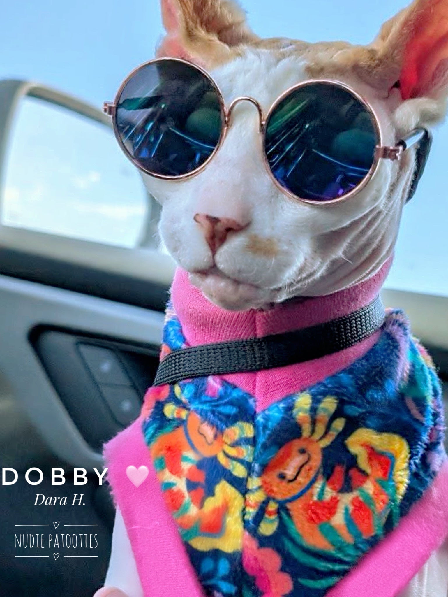 Best sphynx cat and kitten shirts clothes and sphynx swag.  Axlotl shirt