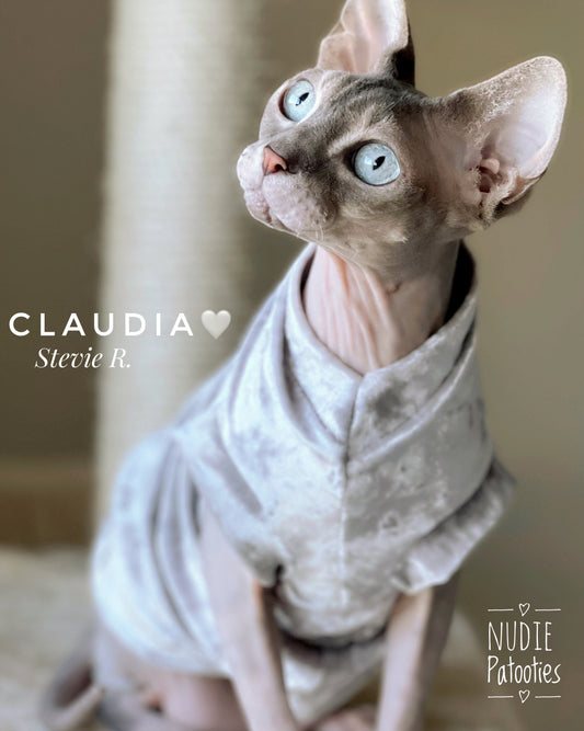 Sphynx cat and kitten velvet shirt.  sphynx cat clothes