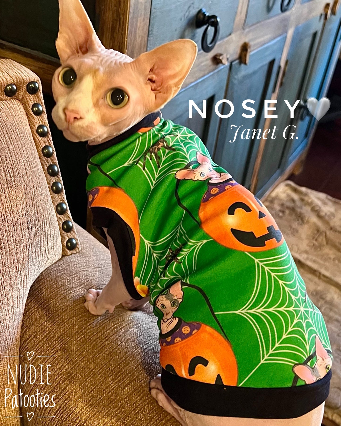 Organic 100% Cotton sphynx cat and kitten Halloween shirt.  Sphynx cat clothes.