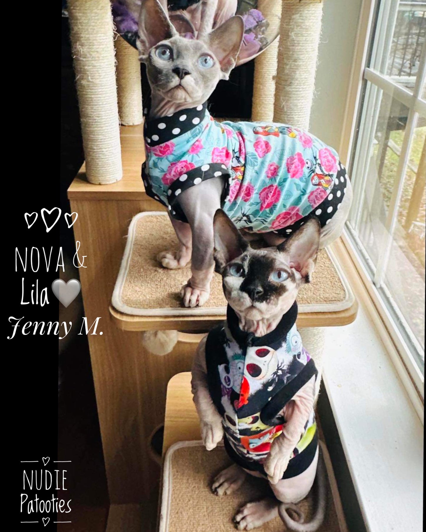 Best Sphynx cat clothing. Hairless cat apparel. Sphynx cat sweaters. Cat clothes for hairless cats. Warm sphynx cat outfits. Sphynx cat hoodies. Cozy cat wear. Cat shirts for Sphynx.  Pet clothing for Sphynx cats. Winter clothes for sphynx cats. Sphynx cat fashion.  Hairless cat t-shirts. Soft cat jumpers. Seasonal cat clothing.