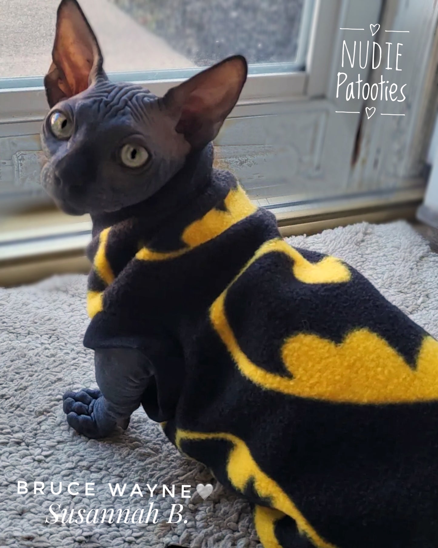 Best sphynx cat clothes, shirts, and swag.