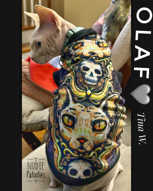  sphynx cat and kitten warm minky shirt.  Sphynx cat clothes.  