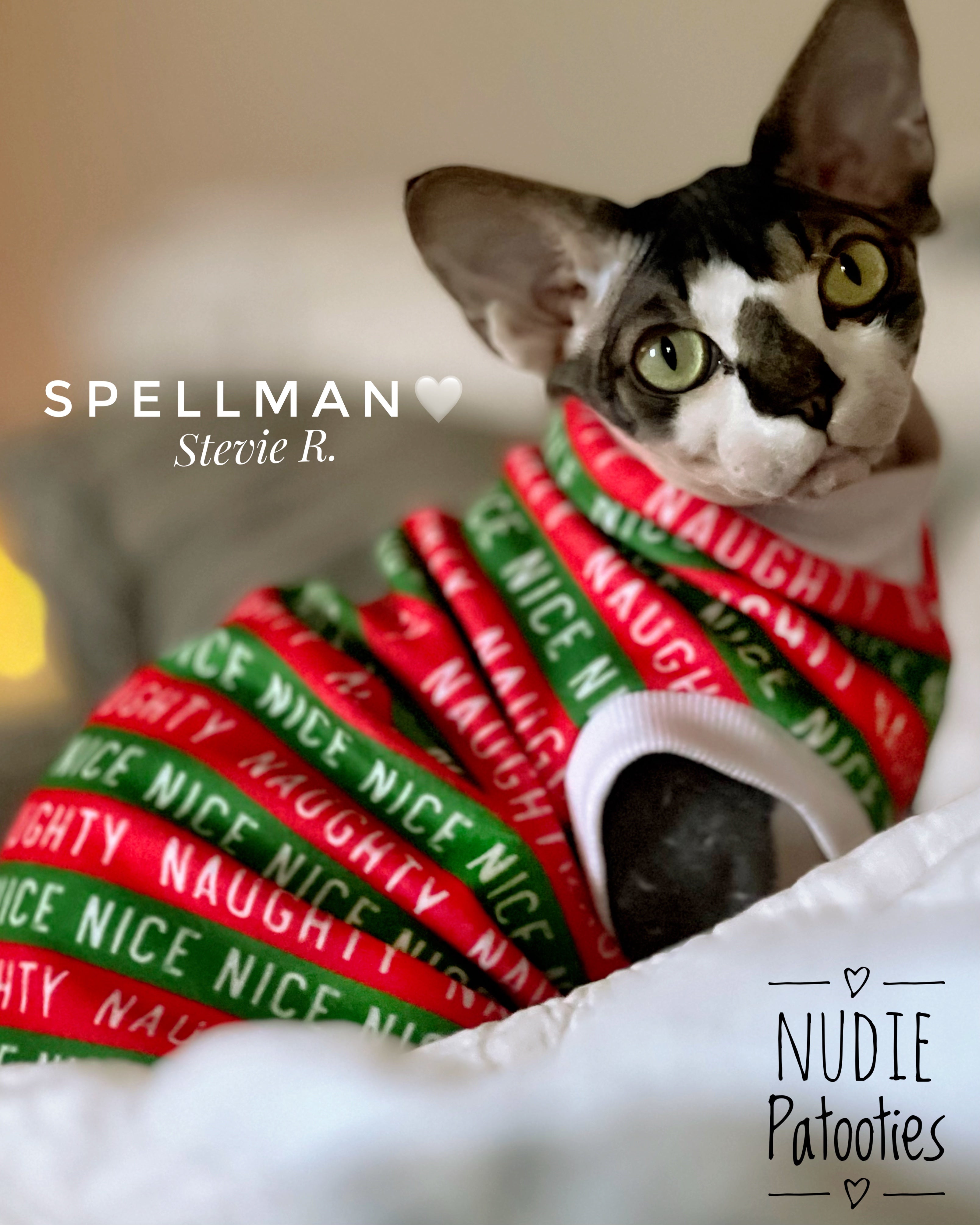 Festive Naughty Nice Stripped fleece shirt for your hairless sphynx cat and kitten.  Best sphynx cat clothes and shirts.