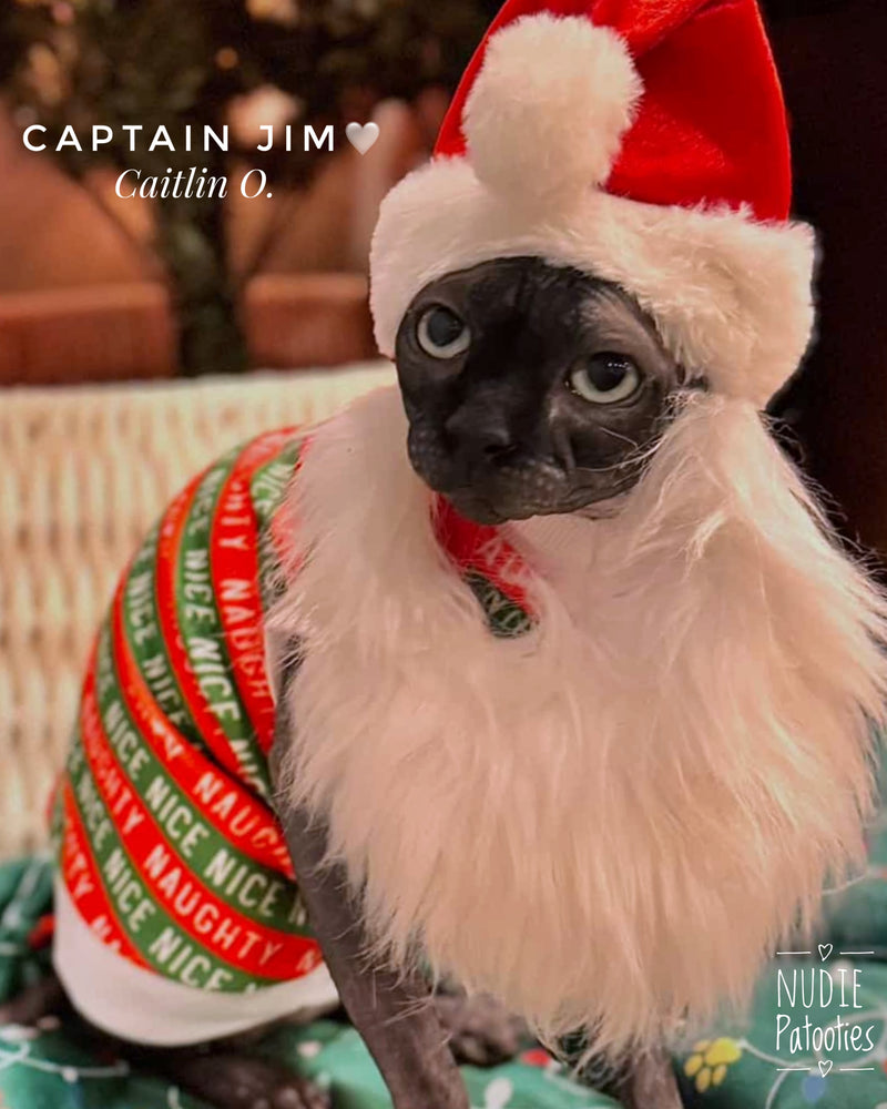 Festive Naughty Nice Stripped fleece shirt for your hairless sphynx cat and kitten.  Best sphynx cat clothes and shirts.