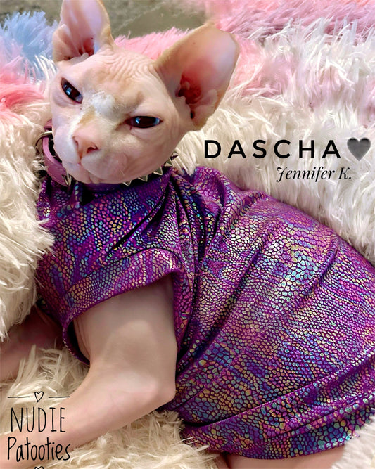 Sphynx cat and kitten shirt.  Sphynx cat clothes.