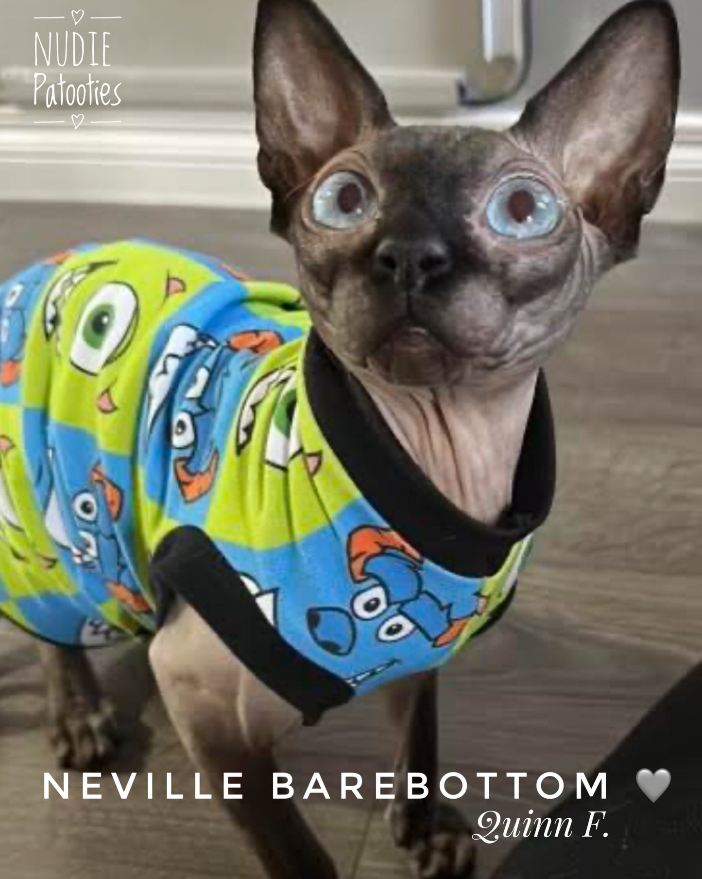sohynx cat and kitten shirt.  sphynx cat clothes