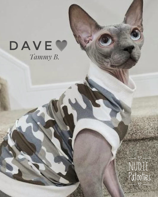 Sphynx cat and kitten Halloween shirt.  Sphynx cat clothes. 