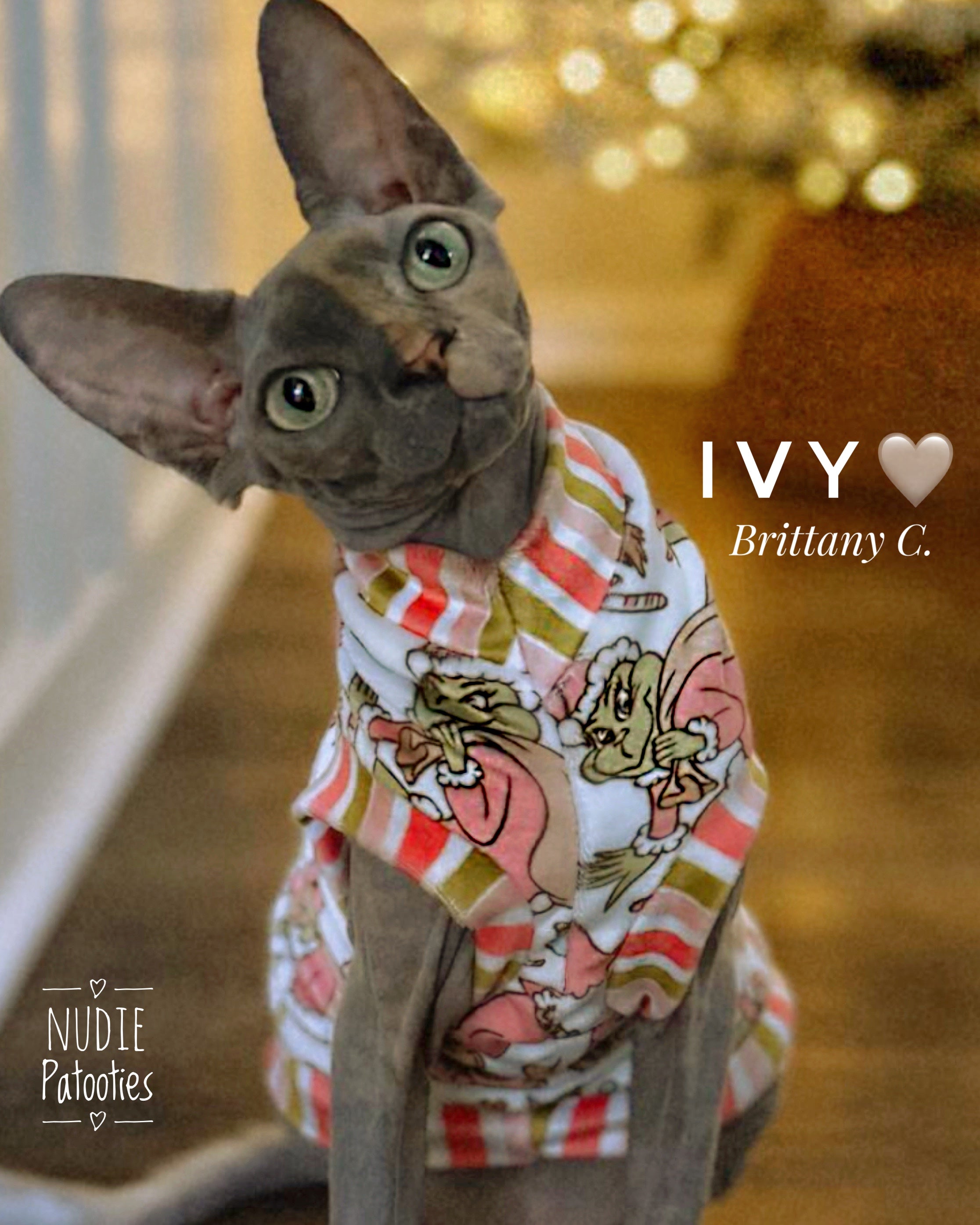 Best sphynx cat clothes, shirts and swag.