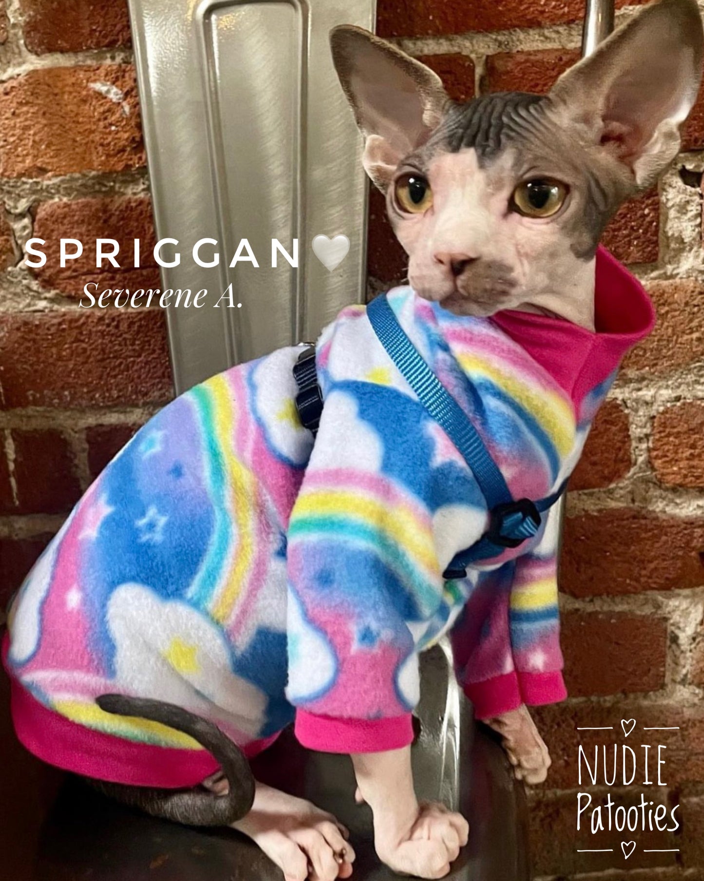 Sphynx cat and kitten fleece shirt.  sphynx cat clothes