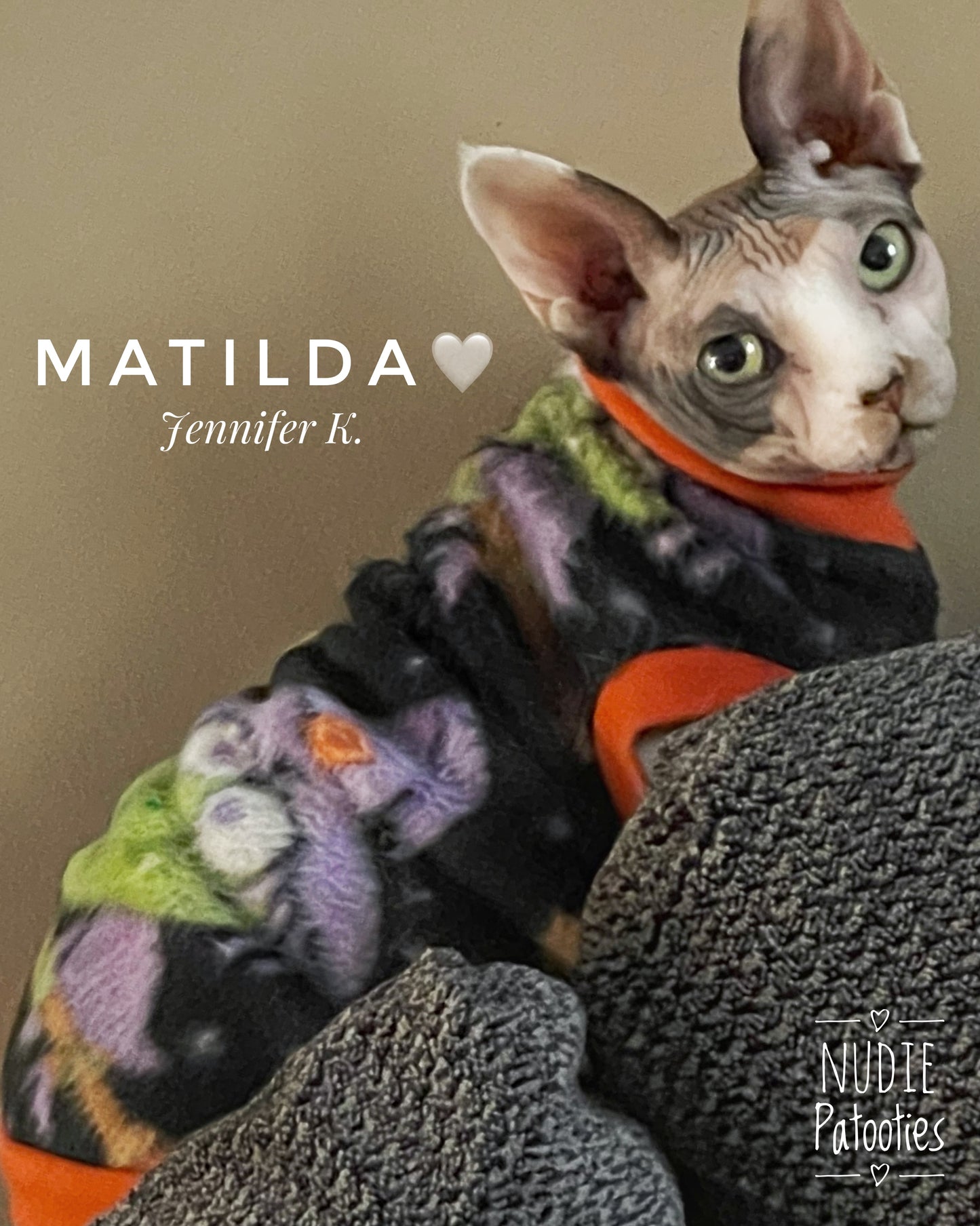 Witches sphynx cat and kitten Halloween Fleece shirt.  Sphynx cat clothes. Being Witchy" - Nudie Patooties