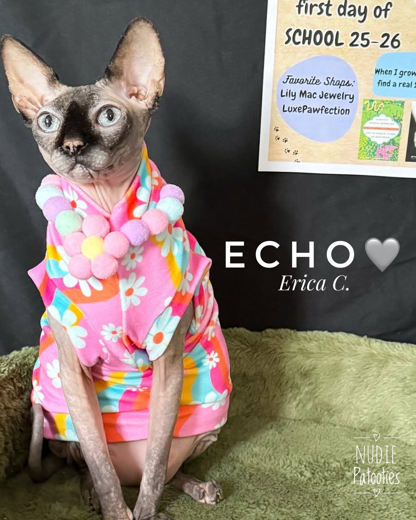 Best sphynx cat and kitten clothes, shirts, sweaters and swag.