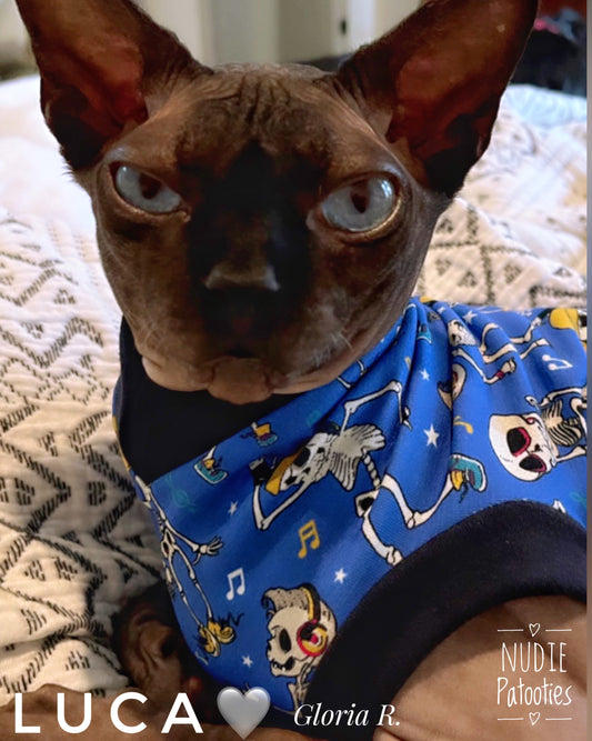Sphynx cat and kitten shirt.  Sphynx cat clothes. 
