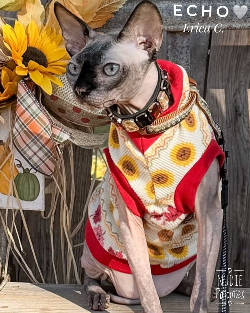 Fall waffle sphynx cat and kitten shirt.  Best sphynx cat clothes. 