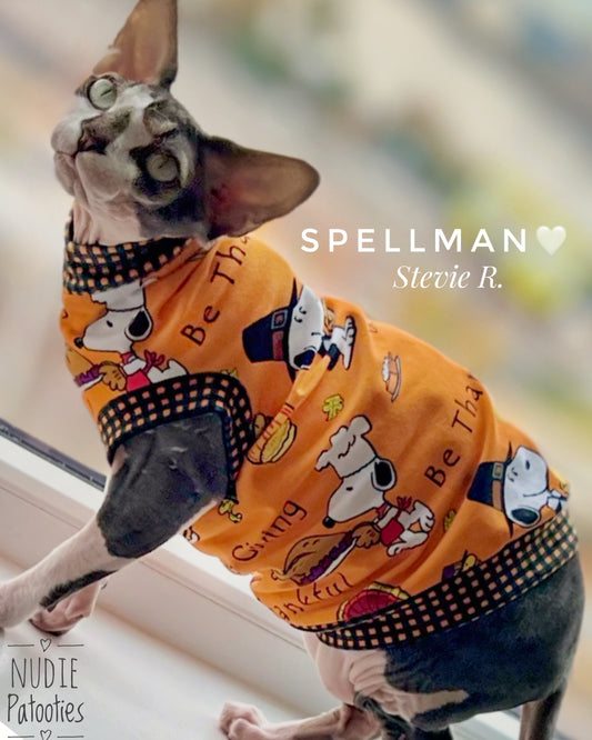 Sphynx cat and kitten shirt.  Best sphynx cat and hairless cat clothes, sweaters and swag.  Thanksgiving cat shirt 