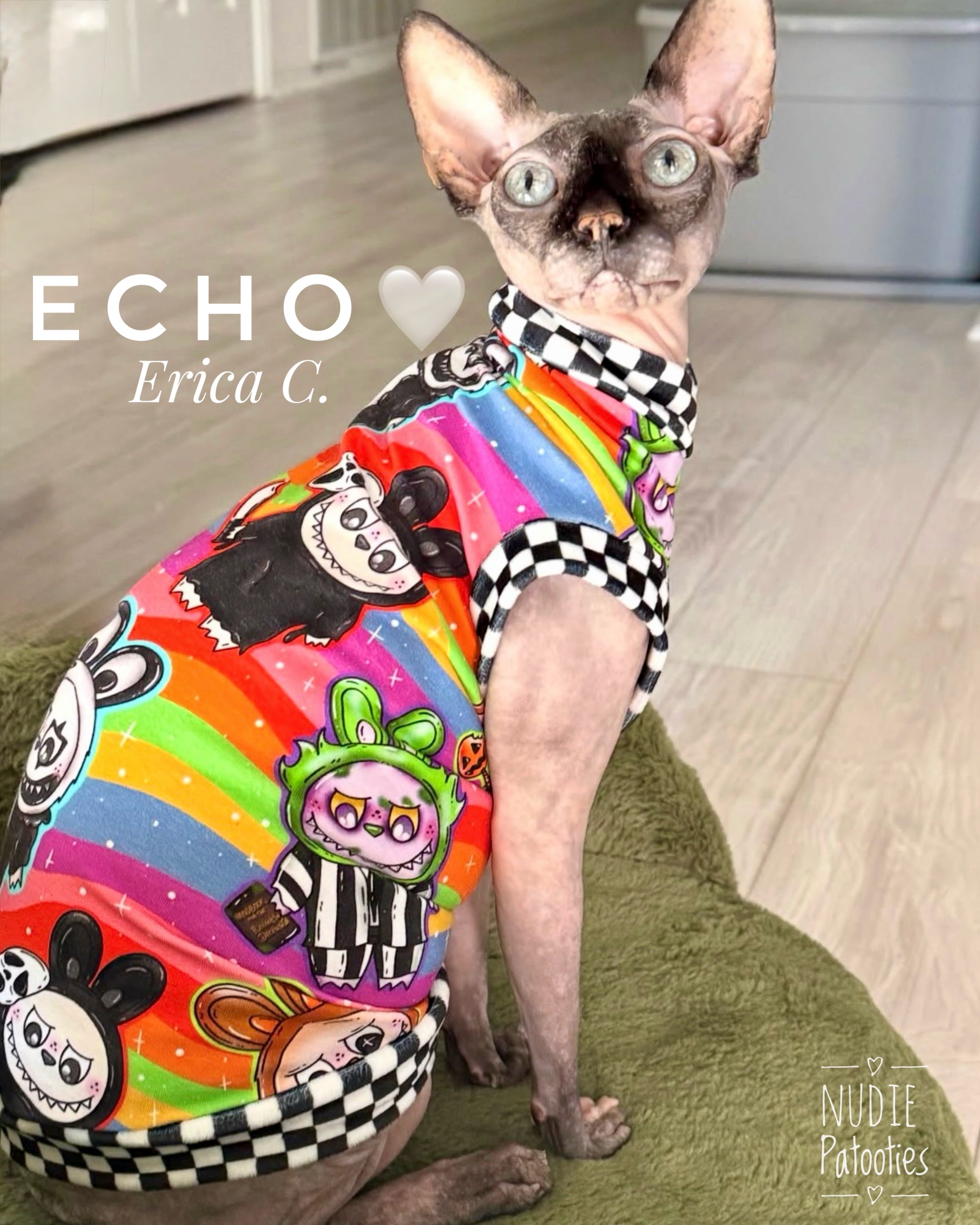 Sphynx cat and kitten seasonal Halloween shirt.  Best sphynx cat clothes.