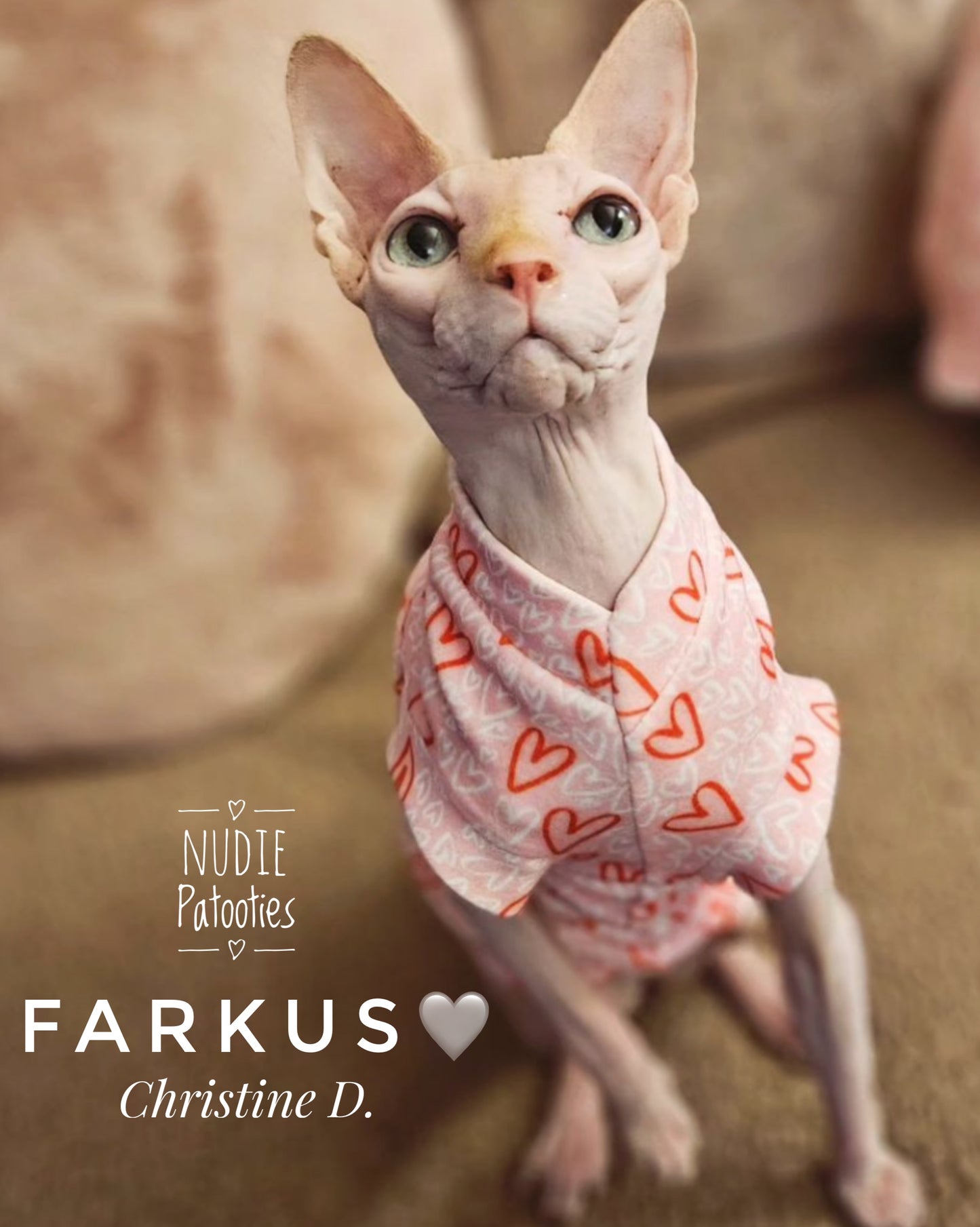 Sphynx cat and kitten shirt.  Sphynx cat clothes.