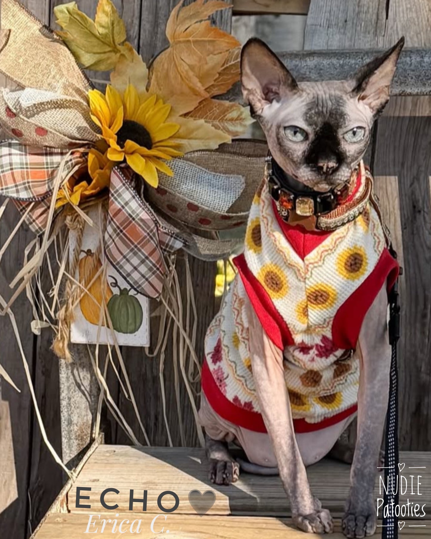 Fall waffle sphynx cat and kitten shirt.  Best sphynx cat clothes. 