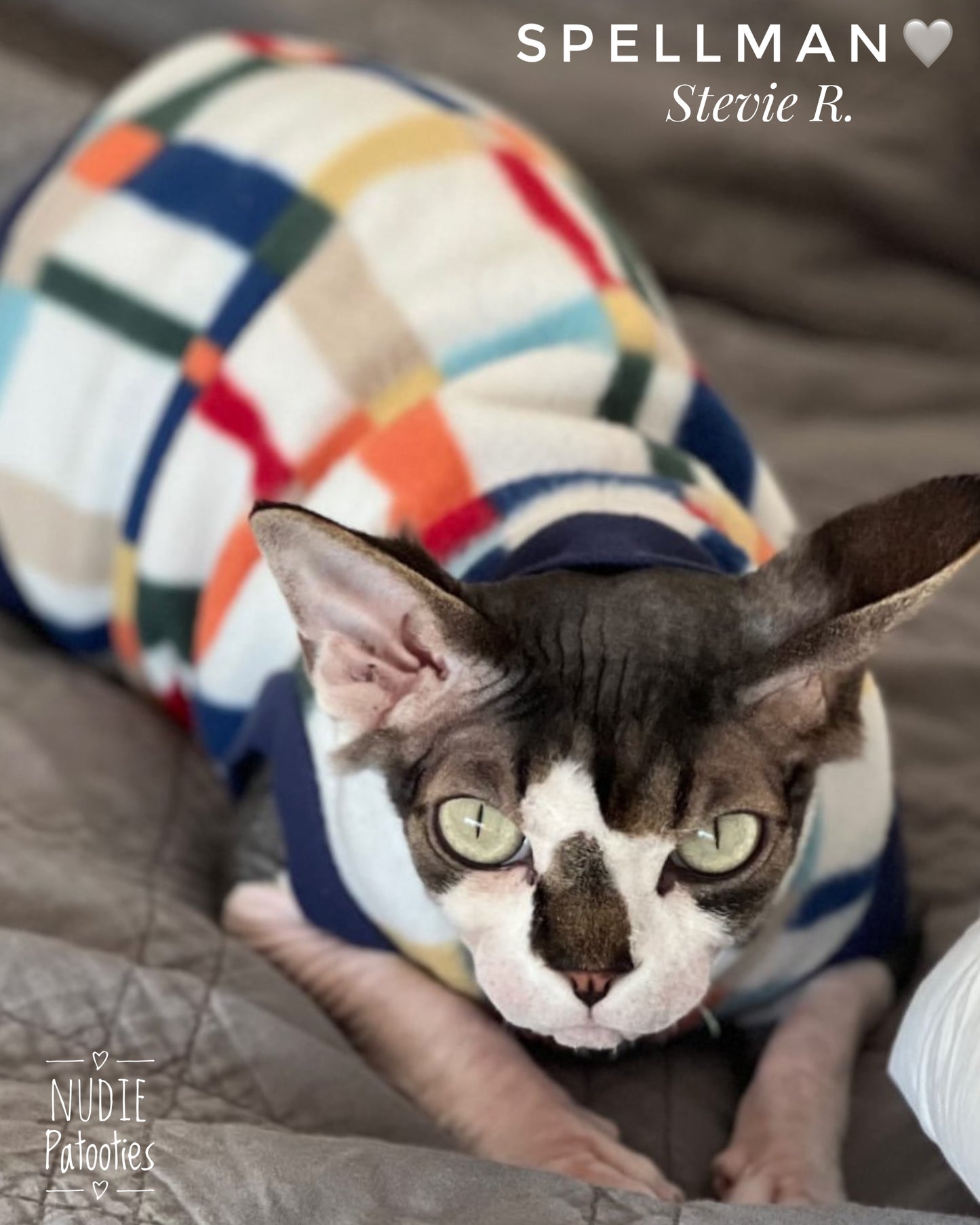 Warm sphynx cat and kitten fleece shirt sweater.  Sphynx cat clothes. 