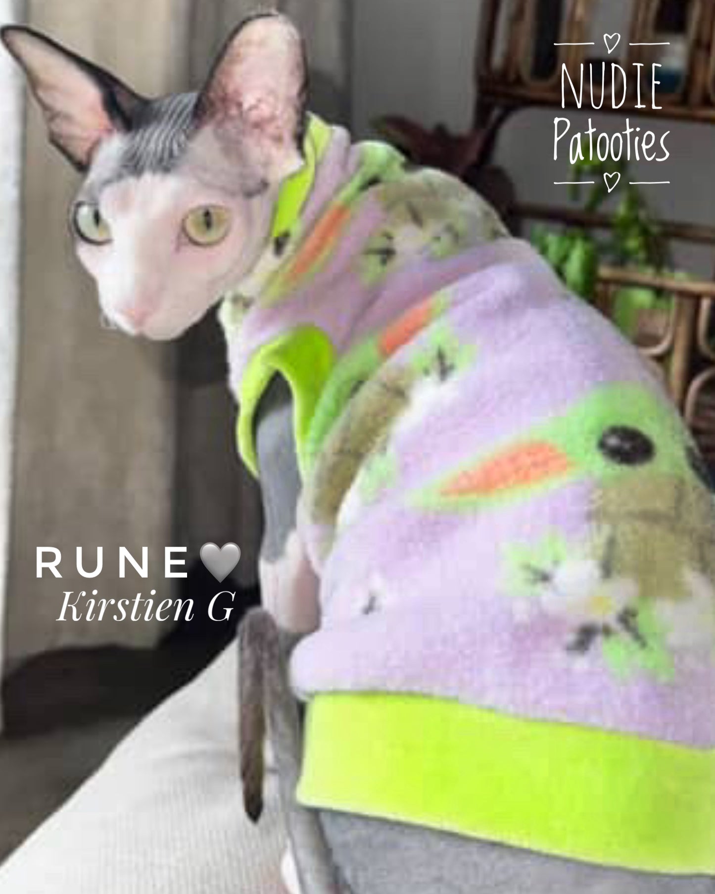 Sphynx cat and kitten fleece shirt.  Best Sphynx cat clothes and swag. 