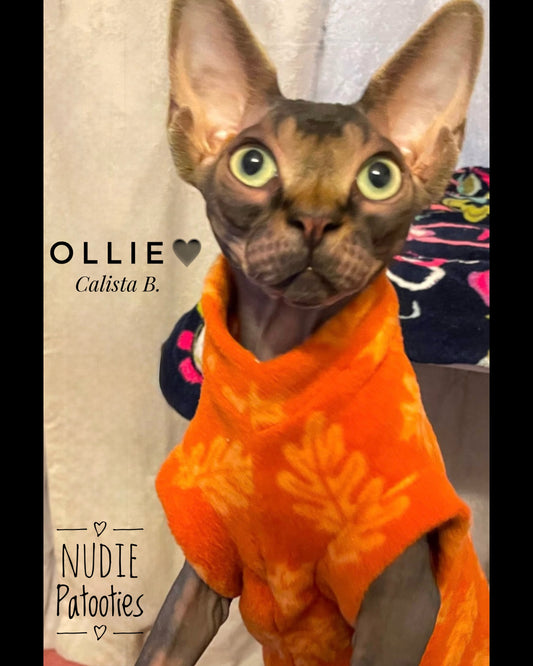 Best sphynx cat clothes.  Fleece shirt for sphynx cat and kitten. 