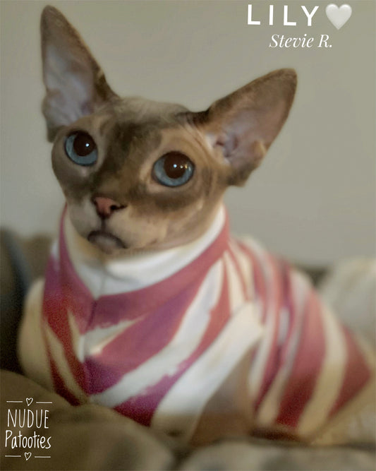 Sphynx cat and kitten shirt.  Sphynx Cat Clothes
