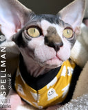 sphynx cat and kitten shirt.  sphynx cat clothes