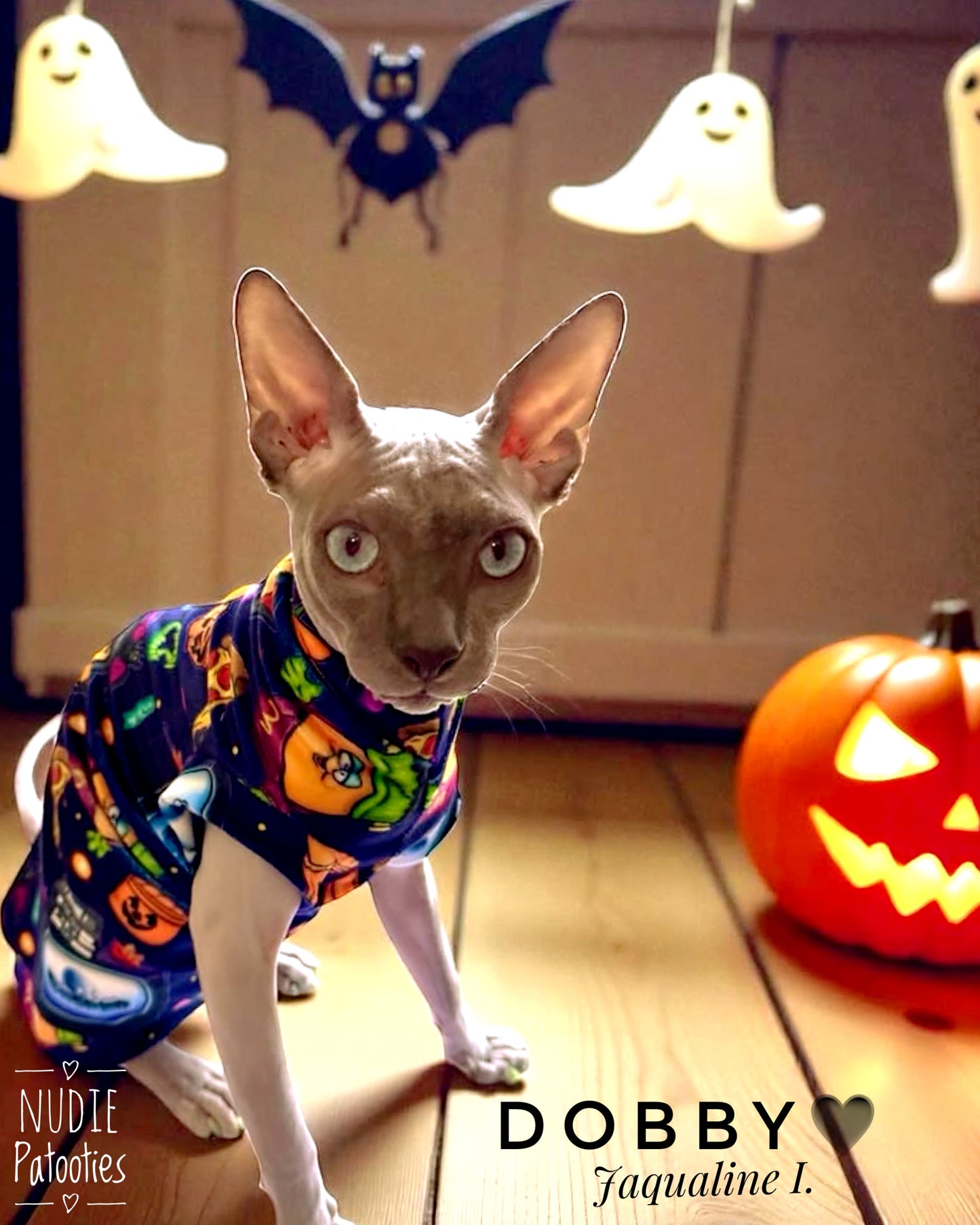 Best sphynx cat clothes, shirts, and sphynx swag