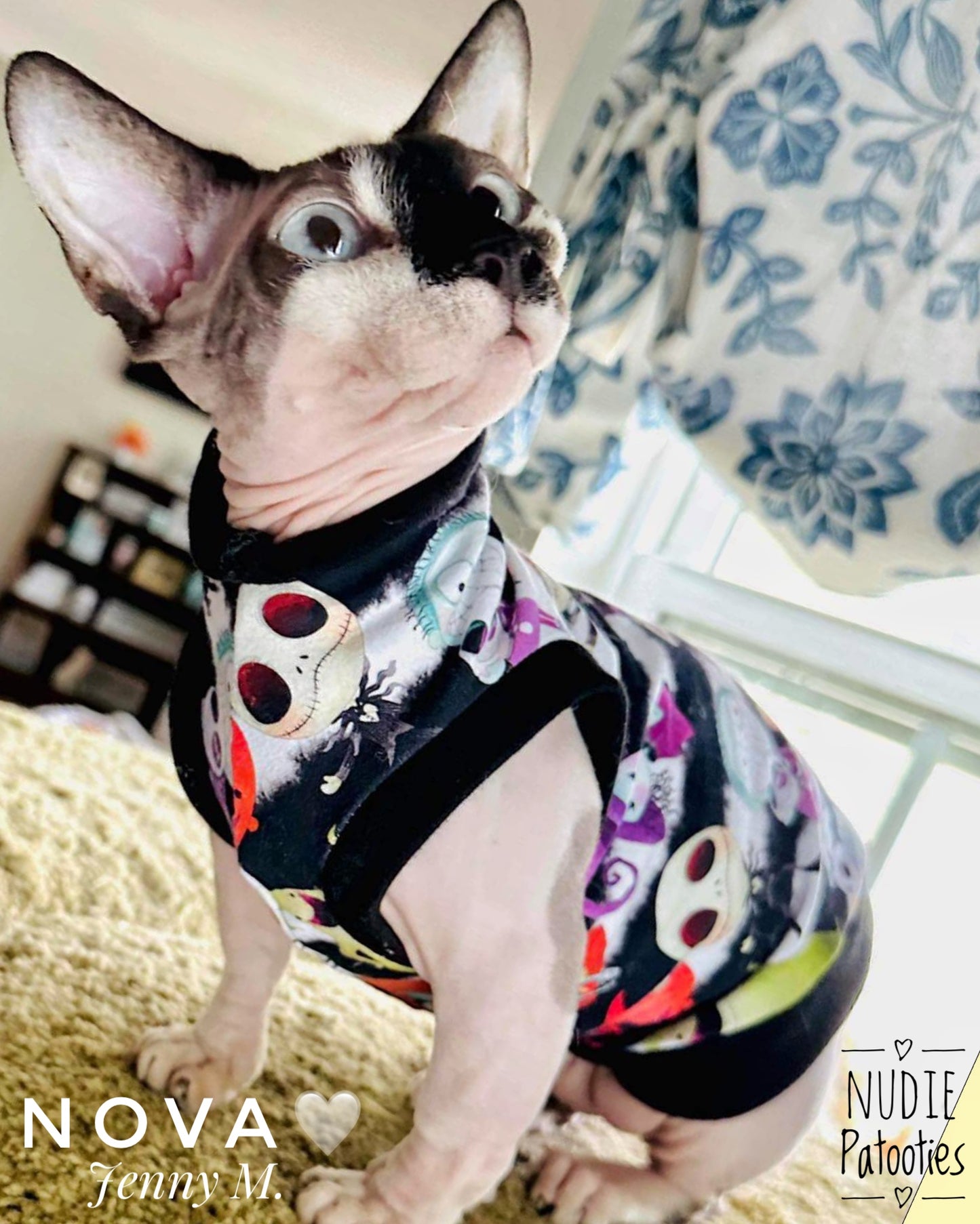 Best Sphynx cat clothing. Hairless cat apparel. Sphynx cat sweaters. Cat clothes for hairless cats. Warm sphynx cat outfits. Sphynx cat hoodies. Cozy cat wear. Cat shirts for Sphynx.  Pet clothing for Sphynx cats. Winter clothes for sphynx cats. Sphynx cat fashion.  Hairless cat t-shirts. Soft cat jumpers. Seasonal cat clothing.